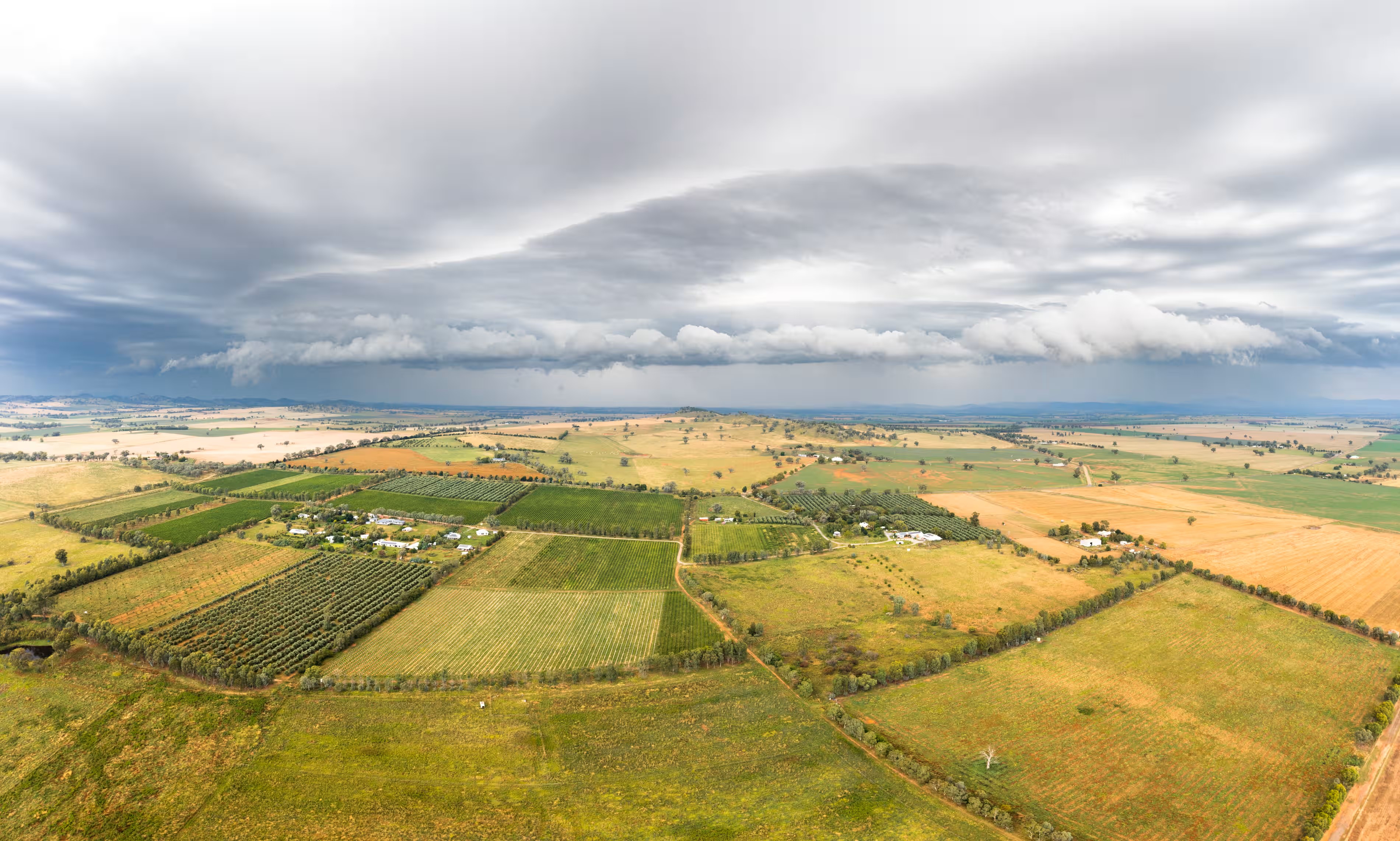 Rosnay Organic, near Canowindra in central west NSW