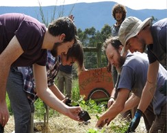 WWOOF volunteers