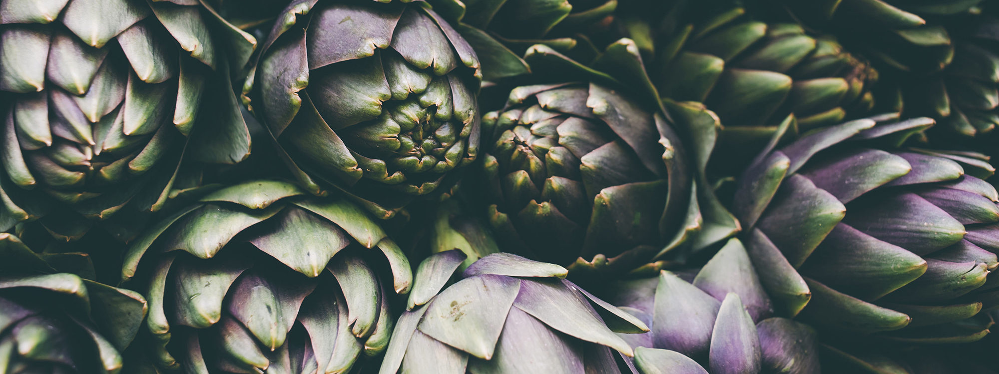 Artichokes